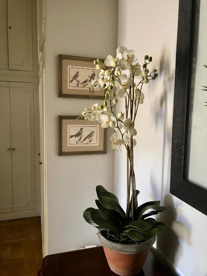 Magnifique 2 Pieces De 65M2 -Quartier Des Musiciens Lejlighed Nice Eksteriør billede